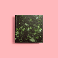 Load image into Gallery viewer, Forest Chocolate 70% - Goodio USACraft Chocolate