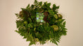 Load image into Gallery viewer, Forest Chocolate 70% - Goodio USACraft Chocolate