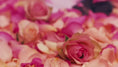 Load and play video in Gallery viewer, Flower Chocolate 69%