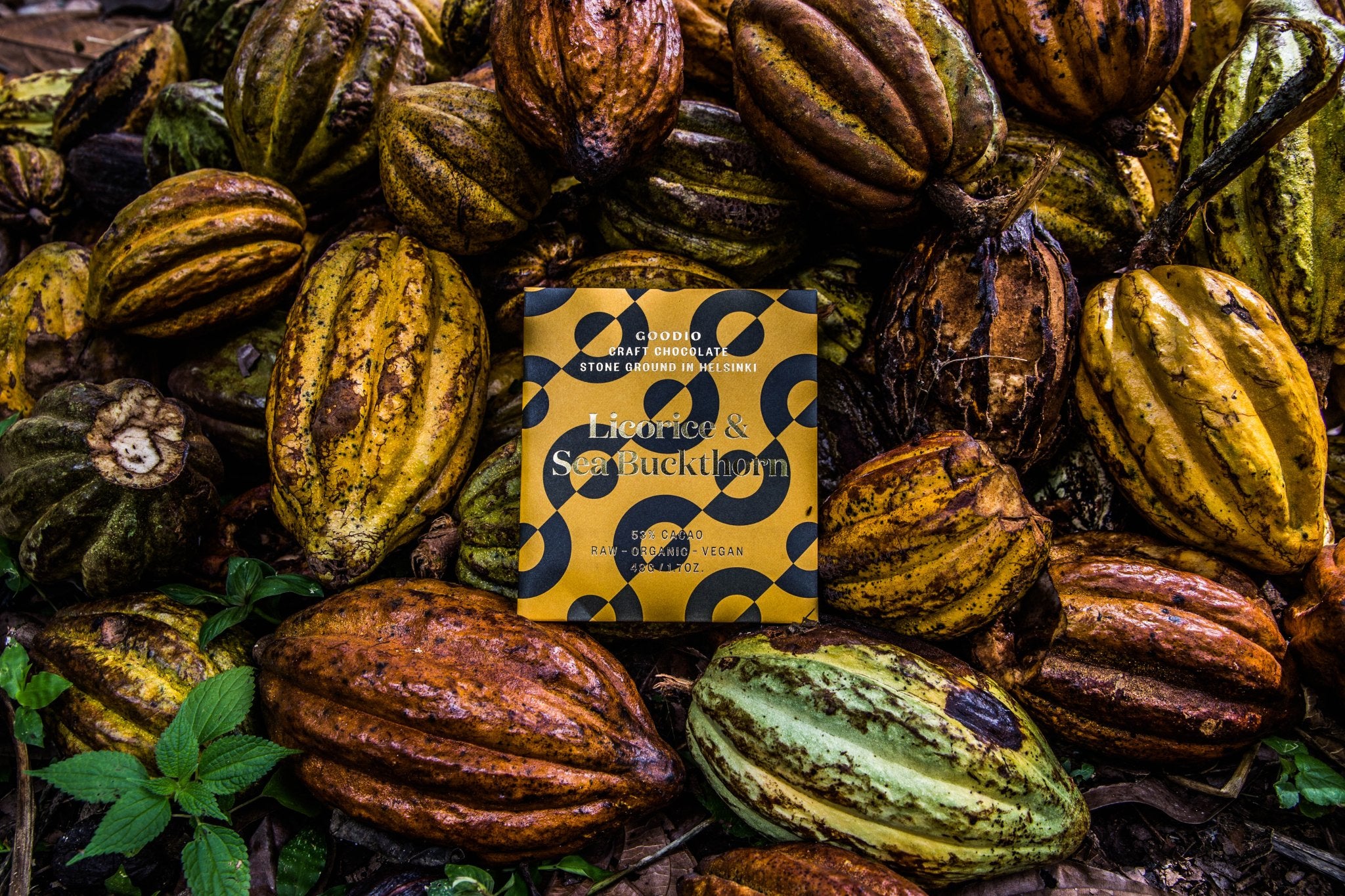 Licorice & Sea Buckthorn Chocolate 53% - Goodio USAOrganic & Vegan Chocolate